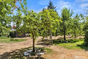 17642 Irwin St SW, Rochester, WA 98579 - Photo 32