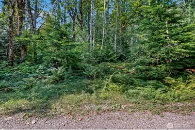 2190 W Cushman Ridge Drive, Hoodsport, WA 98563 - Photo 40