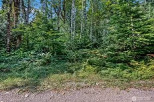 2190 W Cushman Ridge Dr, Hoodsport, WA 98563 - Photo 40