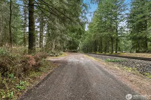 151 NE Deerwood Dr, Belfair, WA 98528 - Photo 1