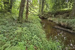 162 S Bank Rd, Elma, WA 98541 - Photo 8