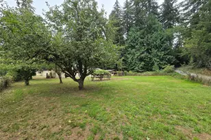 162 S Bank Rd, Elma, WA 98541 - Photo 6
