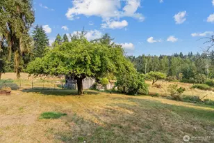 31017 144th Ave E, Graham, WA 98338 - Photo 24