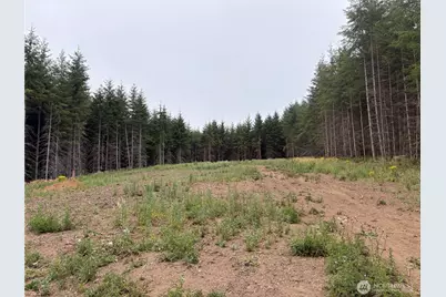 1161 Thimbleberry Drive, Castle Rock, WA 98611 - Photo 10