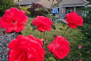 506 Timberland Loop, Mount Vernon, WA 98273 - Photo 32