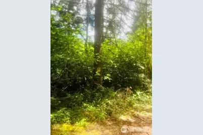 33414 68th Avenue S, Roy, WA 98580 - Photo 6