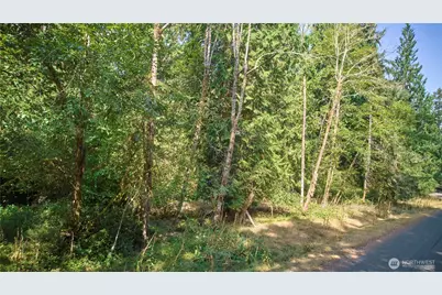 10114 Selma Circle, Anderson Island, WA 98303 - Photo 1