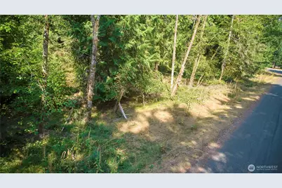 10114 Selma Circle, Anderson Island, WA 98303 - Photo 2