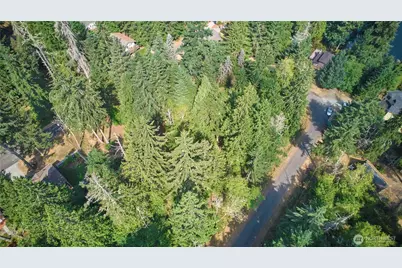 10114 Selma Circle, Anderson Island, WA 98303 - Photo 4