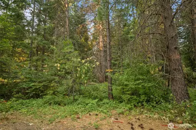 2 Oakmont, Cle Elum, WA 98922 - Photo 4