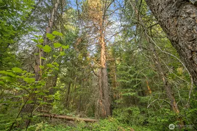 1 Oakmont, Cle Elum, WA 98922 - Photo 4