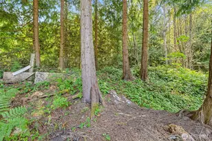 102 Madera Pl, Sequim, WA 98382 - Photo 36