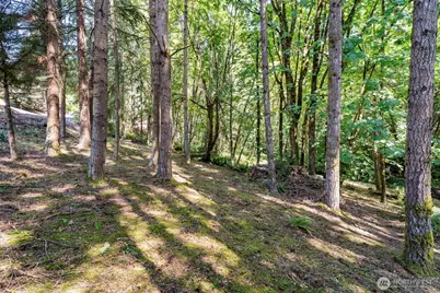 168 Upland Drive, Woodland, WA 98674 - Photo 24