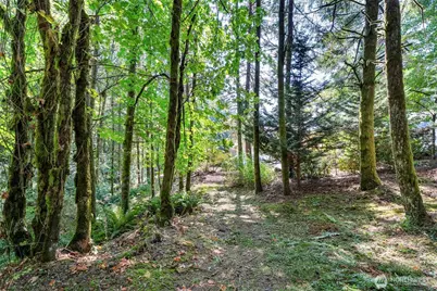 168 Upland Drive, Woodland, WA 98674 - Photo 22