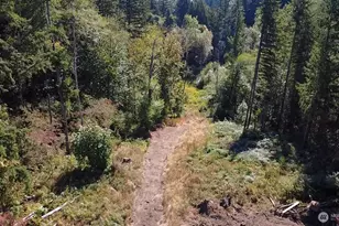 14120 Englund Ln SW, Tenino, WA 98589 - Photo 34
