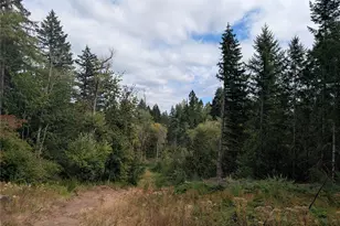 14120 Englund Ln SW, Tenino, WA 98589 - Photo 32