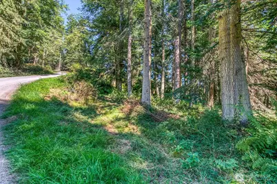 0 Pioneer Hill Road, Orcas Island, WA 98245 - Photo 6