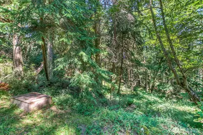 0 Pioneer Hill Road, Orcas Island, WA 98245 - Photo 18