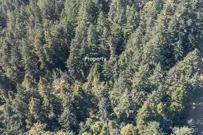 0 Pioneer Hill Road, Orcas Island, WA 98245 - Photo 26