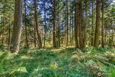 0 Pioneer Hill Road, Orcas Island, WA 98245 - Photo 10