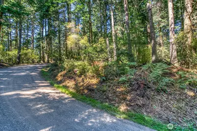 0 Pioneer Hill Road, Orcas Island, WA 98245 - Photo 4