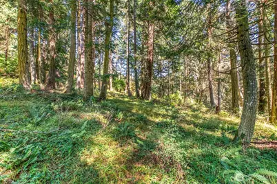 0 Pioneer Hill Road, Orcas Island, WA 98245 - Photo 16