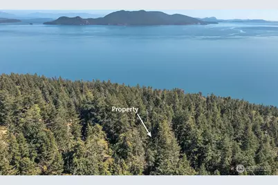 0 Pioneer Hill Road, Orcas Island, WA 98245 - Photo 24