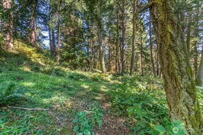 0 Pioneer Hill Road, Orcas Island, WA 98245 - Photo 8