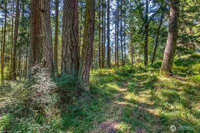 0 Pioneer Hill Road, Orcas Island, WA 98245 - Photo 12