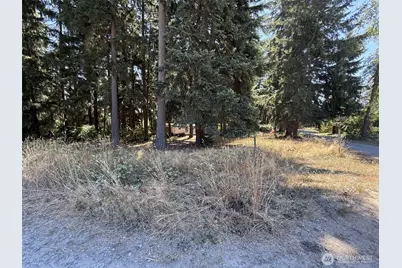 32217 65th Avenue Ct SW, Roy, WA 98580 - Photo 10
