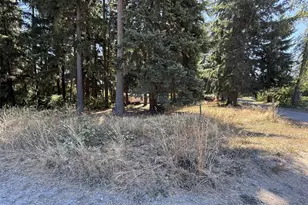 32217 65th Ave Ct SW, Roy, WA 98580 - Photo 10