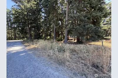 32217 65th Avenue Ct SW, Roy, WA 98580 - Photo 8