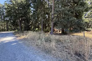 32217 65th Ave Ct SW, Roy, WA 98580 - Photo 8