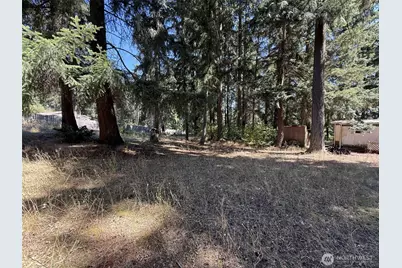 32217 65th Avenue Ct SW, Roy, WA 98580 - Photo 6