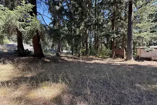 32217 65th Ave Ct SW, Roy, WA 98580 - Photo 6