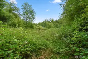 18268 Colony Rd, Bow, WA 98232 - Photo 38