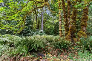 4045 79th Ave NW, Olympia, WA 98502 - Photo 28