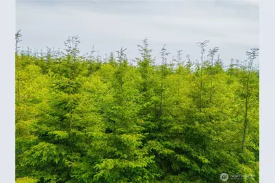 0 Mudd Lane, Astoria, OR 97103 - Photo 2