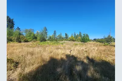 31208 Lebor Devore Road E, Eatonville, WA 98328 - Photo 2