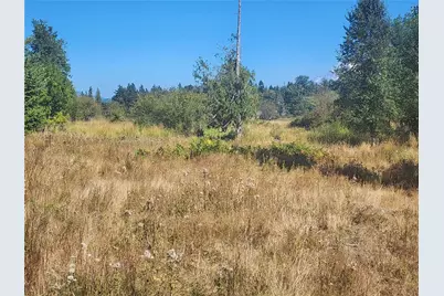 31208 Lebor Devore Road E, Eatonville, WA 98328 - Photo 4
