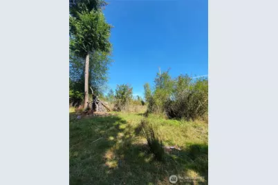 31208 Lebor Devore Road E, Eatonville, WA 98328 - Photo 8