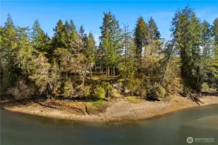 730 SE Nelson Rd, Shelton, WA 98584 - Photo 36