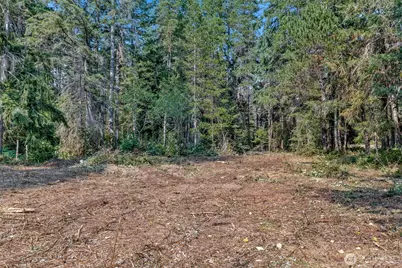 33 N Rainbow Way W, Hoodsport, WA 98548 - Photo 10