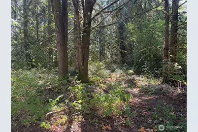 11000 226th Avenue E, Buckley, WA 98321 - Photo 8