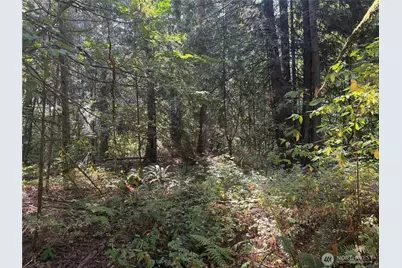 11000 226th Avenue E, Buckley, WA 98321 - Photo 6