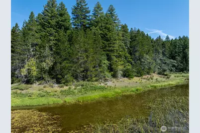 2531 W Hanks Lake Road, Shelton, WA 98584 - Photo 16
