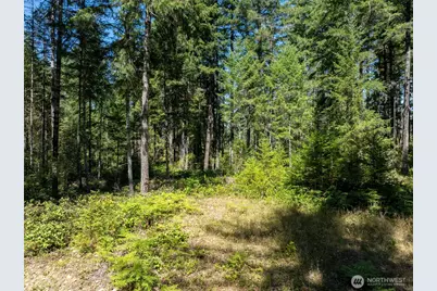 2531 W Hanks Lake Road, Shelton, WA 98584 - Photo 20