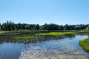 2531 W Hanks Lake Rd, Shelton, WA 98584 - Photo 1