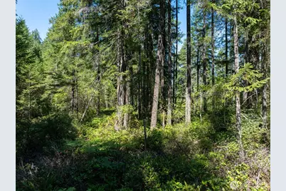 2531 W Hanks Lake Road, Shelton, WA 98584 - Photo 26