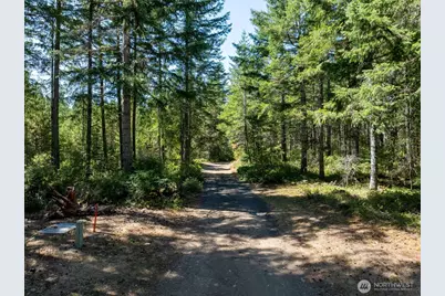 2461 W Hanks Lake Road, Shelton, WA 98584 - Photo 10